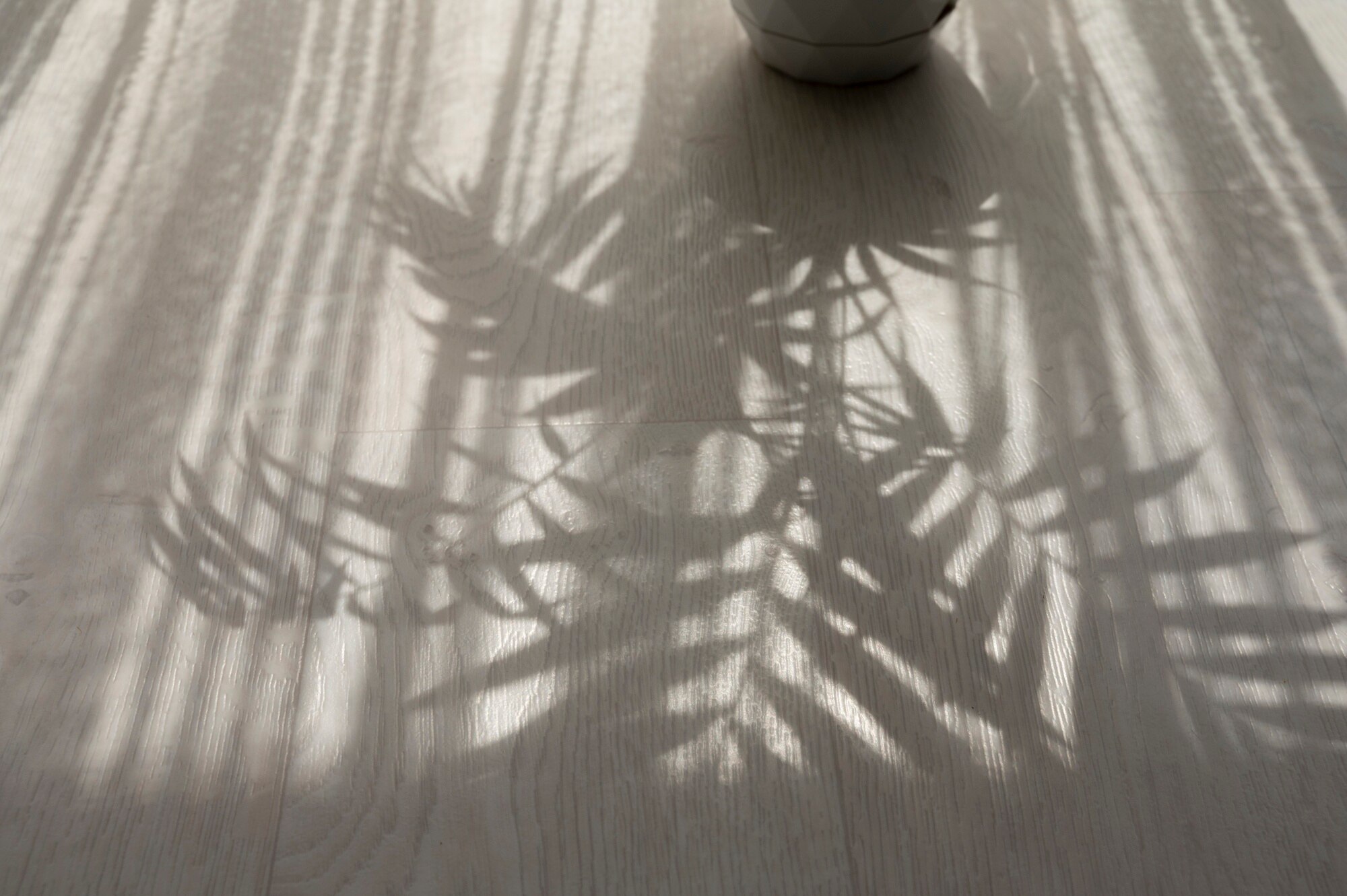 Luz natural y sombras